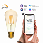 Лампа Gauss Smart Home Filament ST64 7W 740lm 2500К E27 диммируемая LED 1/10/40